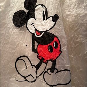 Disney World Park vinyl rain poncho